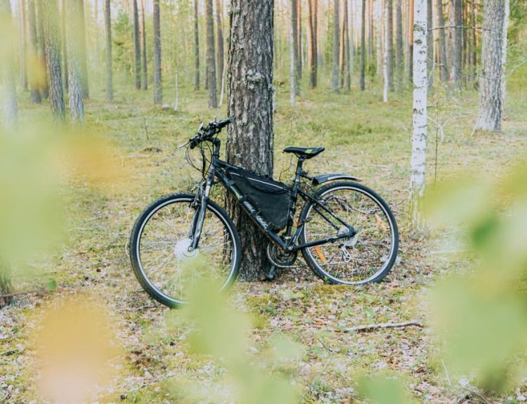 Electric bicycle leaning against a tree in a serene forest setting, showcasing nature's tranquility.